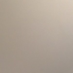 Meet your Posher, Eva